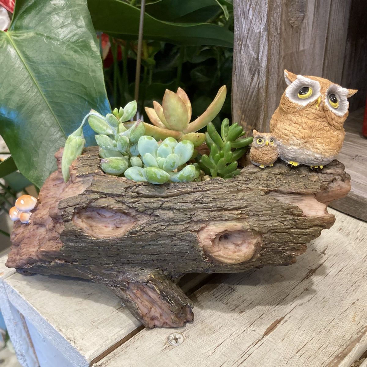 Enchanted Forest Resin Log Planter with Owls and Mushrooms, 8" Woodland Decor