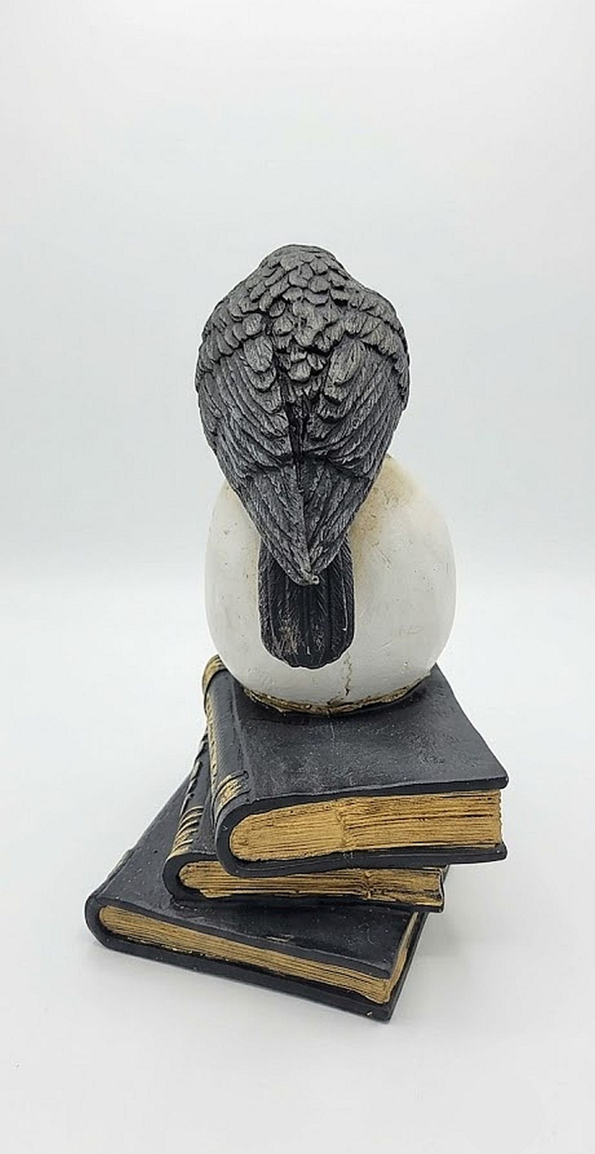 Raven on Skull Perch Edgar Allan Poe, Witch's Brew Spellbooks Halloween Accent