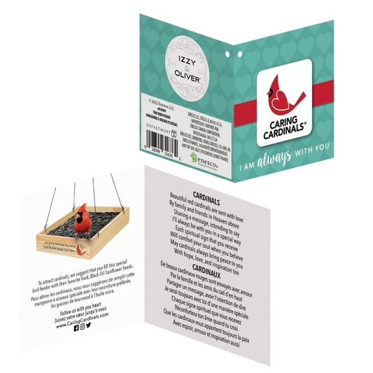 Enesco Izzy and Oliver Caring Cardinals Memory Bird Feeder 9.8″