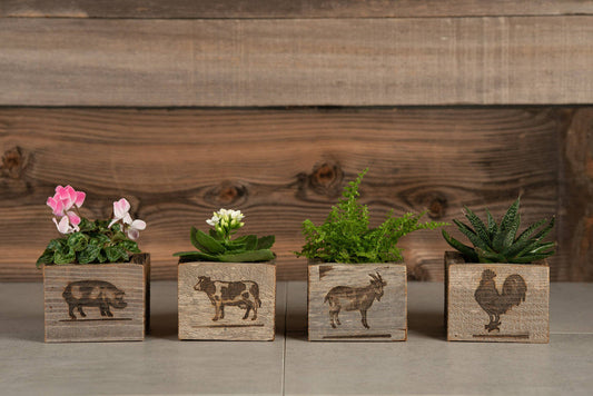 Handmade Reclaimed Wood Mini Farm Animal Planters, Cow, Rooster, Pig OR Goat