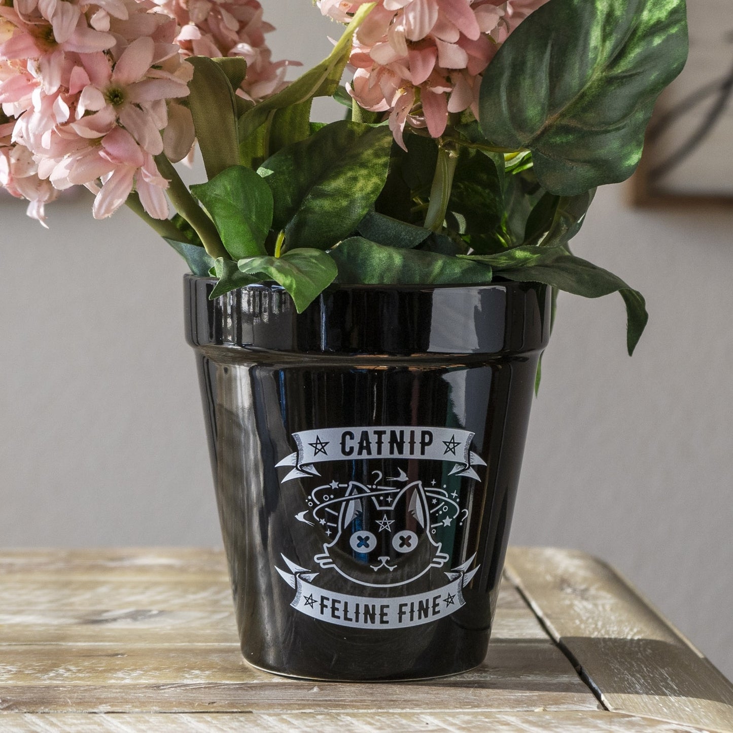 Alchemy England Gothic Planter Black Ceramic Catnip Feline Fine Flower Pot