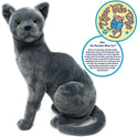 Rae The Russian Blue Cat, Kitty, 13" Plush Stuffed Animal