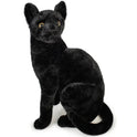 Boone the Black Cat, Kitty, 13" Plush Stuffed Animal