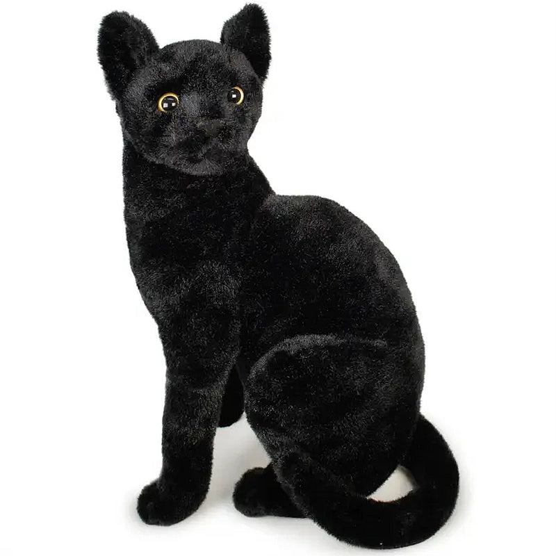 Boone the Black Cat, Kitty, 13" Plush Stuffed Animal