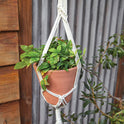 Kailani Macrame Plant Hanger with Terracotta Flower Pot, Planter