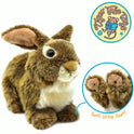 Brigid The Brown Bunny Rabbit, 10" Plush Soft Stuffed Animal, Viahart
