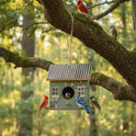 Potting Shed Floral Wooden Small Birdhouse with Metal Roof