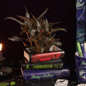 Gothic Classics Dracula, Frankenstein. Sleepy Hallow Ceramic Book Planter