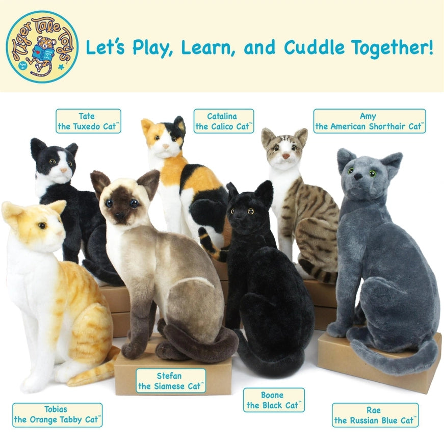 Stefan The Siamese Chocolate Point Cat, Kitty, 13" Plush Stuffed Animal