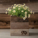 Rustic Wood Farmhouse Crock Pig Planter, Handmade 100% Reclaimed Wood