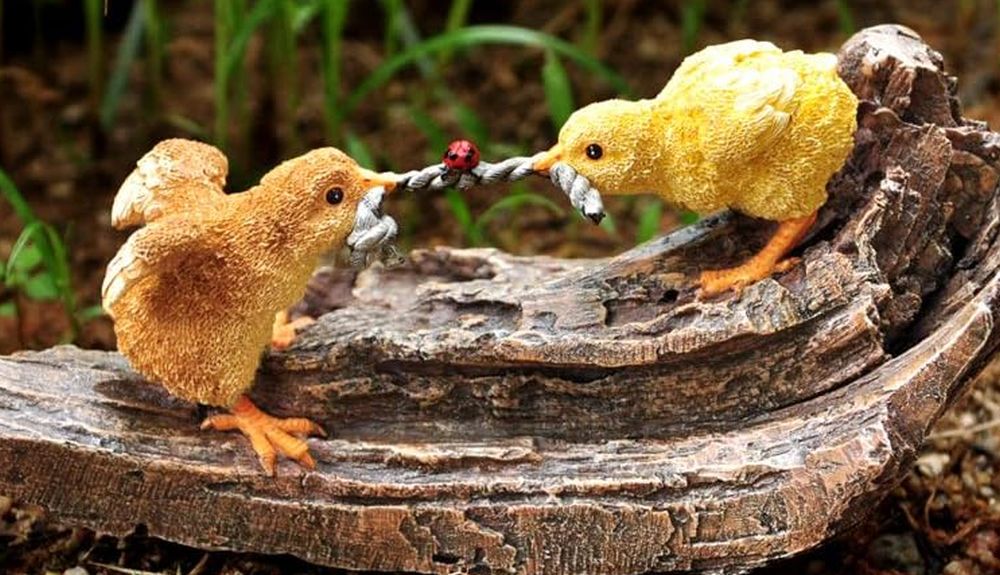 Miniature Baby Chicks Tug of War Statuary with Ladybug, Fairy Garden Resin Decor