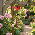 Vibrant Red Northern Cardinal Metal Wind Chime, 20" Garden Decor