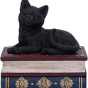 Black Cat Miniature Statuette Perched on a Faux-Antique Book Keepsake Box