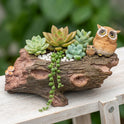 Enchanted Forest Resin Log Planter with Owls and Mushrooms, 8" Woodland Decor