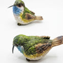 Perched Sitting Hummingbird Miniature Resin Colorful Figurines, Set of 4
