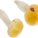 Miniature Fairy Garden and Terrarium Set of 2 Yellow Mushrooms, Ladybug Accent