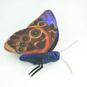 Wild Republic 8" Blue Morpho Butterfly Plush Nature Accent