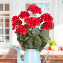 Regal Red Artificial 18" Geranium Flowers Bouquet, Bush