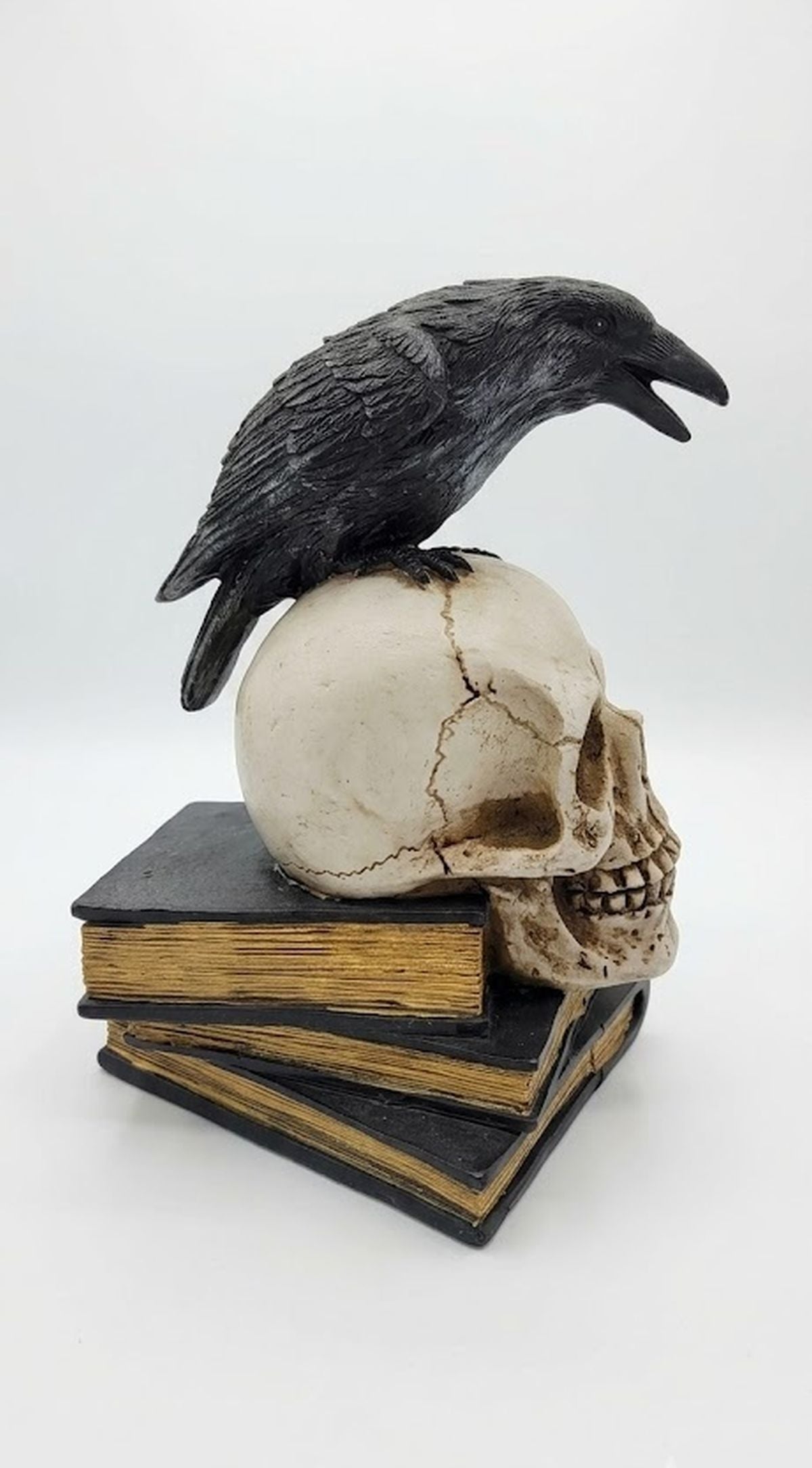 Raven on Skull Perch Edgar Allan Poe, Witch's Brew Spellbooks Halloween Accent