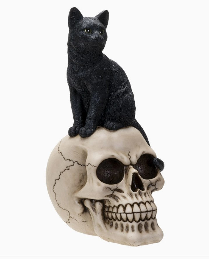 Black Cat on Skull Figurine Gothic Halloween Decor Small Resin 9 1/2" Statuette