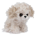 Boo & Friends Maltipoo Puppy Dog, Maltese/Poodle Mix, 5"Plush