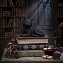 Black Cat Miniature Statuette Perched on a Faux-Antique Book Keepsake Box