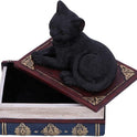 Black Cat Miniature Statuette Perched on a Faux-Antique Book Keepsake Box