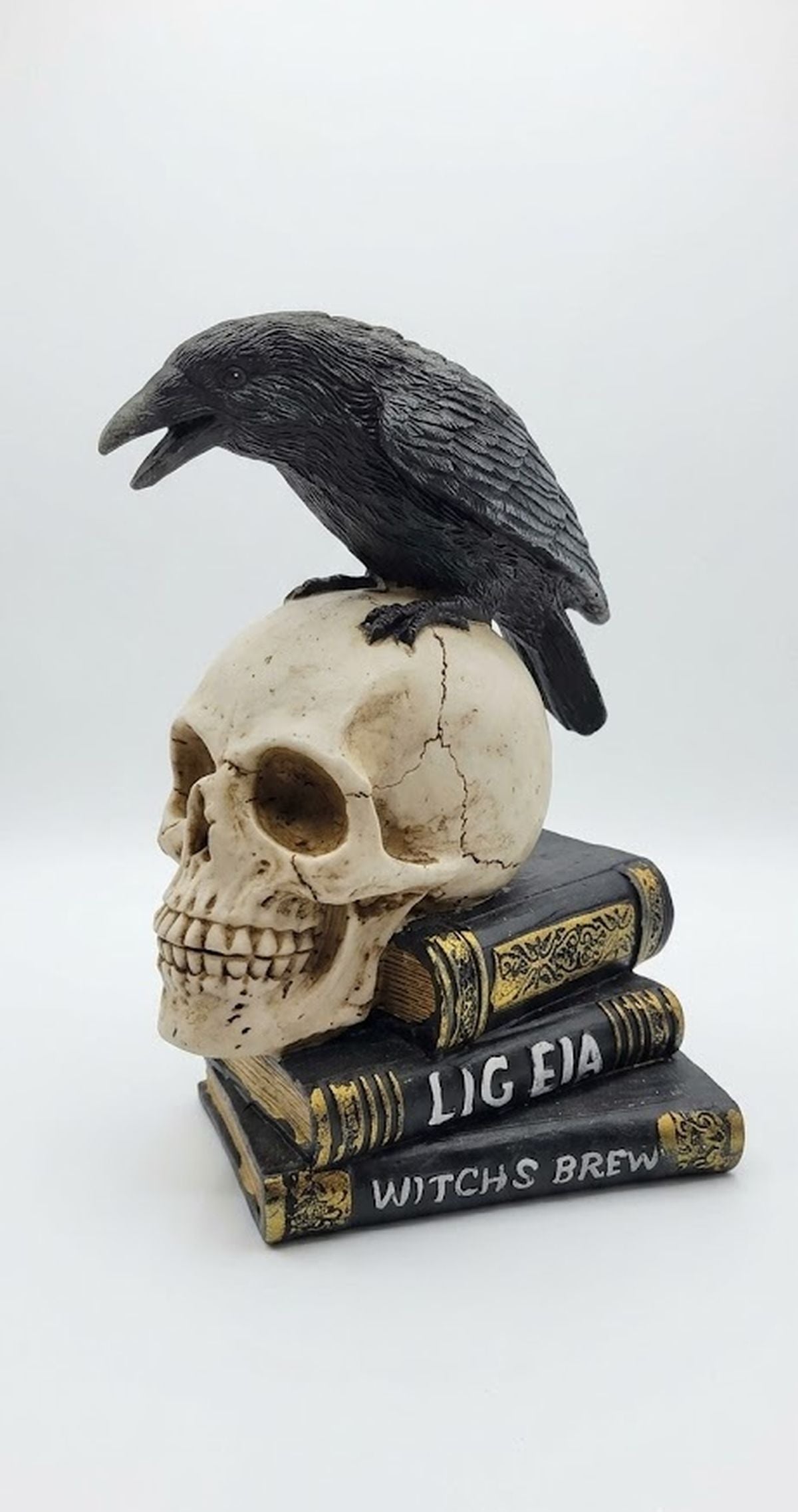 Raven on Skull Perch Edgar Allan Poe, Witch's Brew Spellbooks Halloween Accent