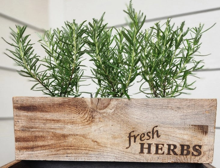 Handmade Reclaimed Wood Rustic Herb Planter, 14" Trough Planting Box