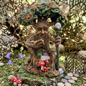 Miniature Reading Grandfather Tree Forest Wizard, Tree-Ent Fairy Garden Figurine
