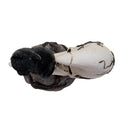 Black Cat on Skull Moon Statuette Mini 7.3" Gothic Desk Decor & Alchemy Display