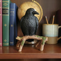 Black Raven on Tree Branch Cold Cast Resin Collectible Figurine Gothic Decor