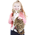 Amy The American Shorthair Cat, Plush, 14" Stuffed Animal