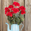 Regal Red Artificial 18" Geranium Flowers Bouquet, Bush