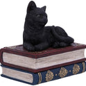 Black Cat Miniature Statuette Perched on a Faux-Antique Book Keepsake Box