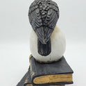 Raven on Skull Perch Edgar Allan Poe, Witch's Brew Spellbooks Halloween Accent