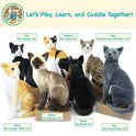 Boone the Black Cat, Kitty, 13" Plush Stuffed Animal