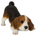 Realistic Adorable Crouching, Playful Beagle Puppy Dog Resin Figurine 7.5"