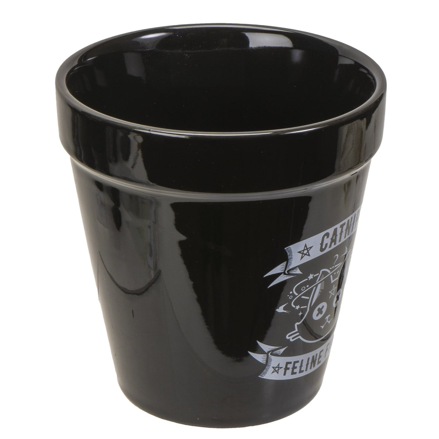 Alchemy England Gothic Planter Black Ceramic Catnip Feline Fine Flower Pot