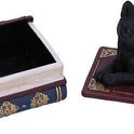 Black Cat Miniature Statuette Perched on a Faux-Antique Book Keepsake Box