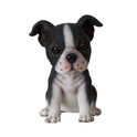 Adorable Seated Boston Terrier Puppy Dog Collectible Resin Figurine, 5.5 inch