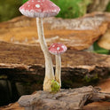 Whimsical Light Red Polka Dot Mushrooms & Frog Fairy Garden Miniature Figurine