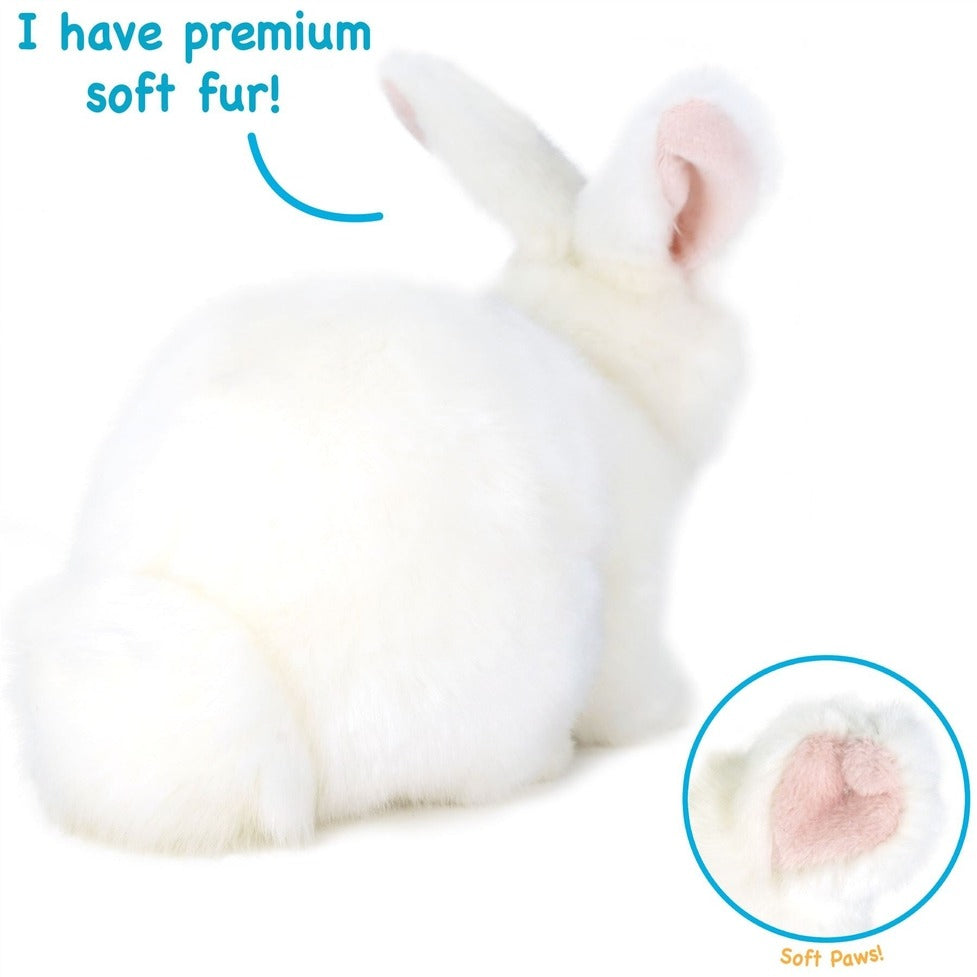 Wren the White Bunny Rabbit 10 Inch Stuffed Animal Plush