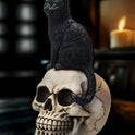 Black Cat on Skull Figurine Gothic Halloween Decor Small Resin 9 1/2" Statuette