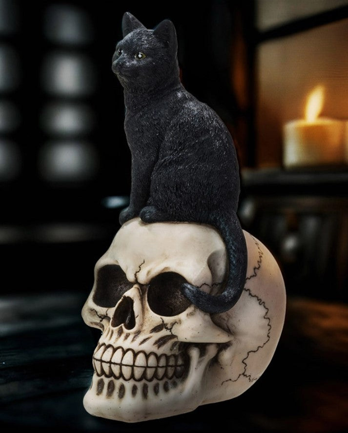 Black Cat on Skull Figurine Gothic Halloween Decor Small Resin 9 1/2" Statuette