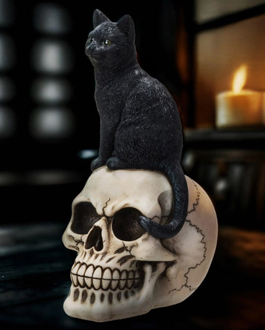 Black Cat on Skull Figurine Gothic Halloween Decor Small Resin 9 1/2" Statuette