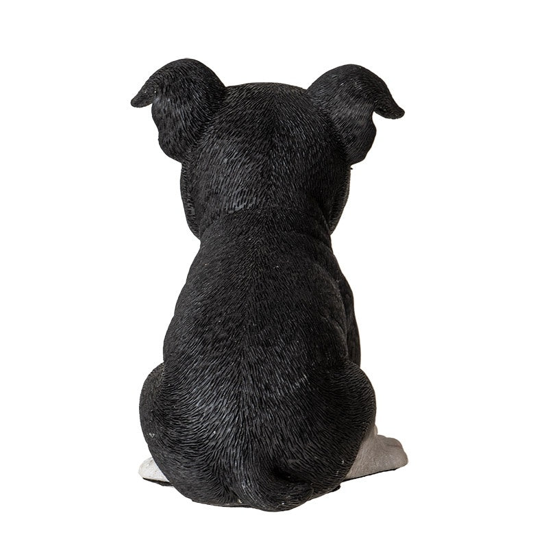 Adorable Seated Boston Terrier Puppy Dog Collectible Resin Figurine, 5.5 inch