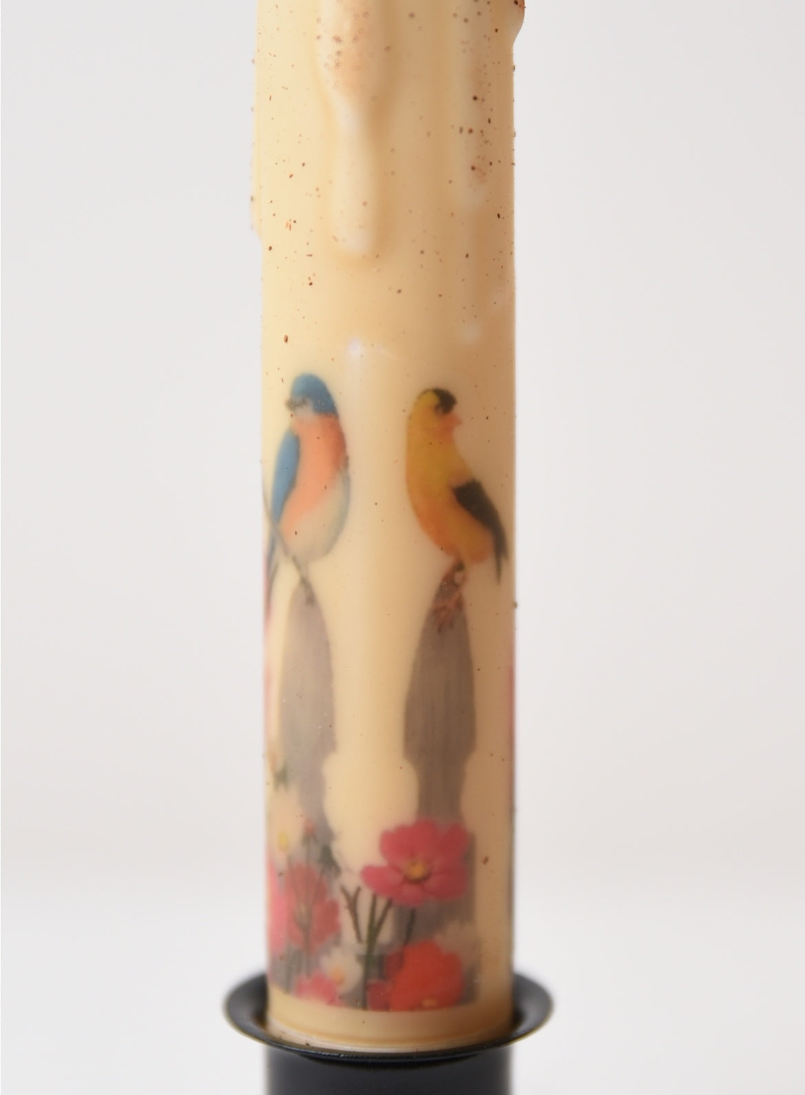 Rustic Primitive Bird & Floral 7" Timer Taper Candle with Black Metal Holder