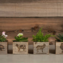 Handmade Reclaimed Wood Mini Farm Animal Planters, Cow, Rooster, Pig OR Goat