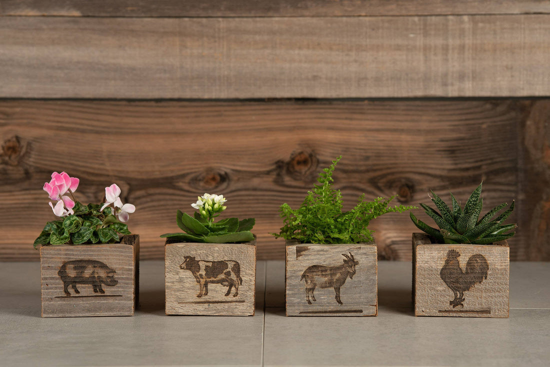 Handmade Reclaimed Wood Mini Farm Animal Planters, Cow, Rooster, Pig OR Goat